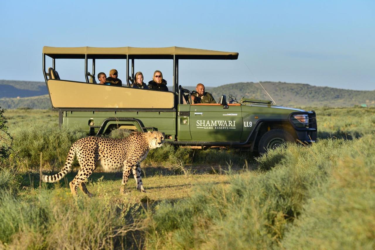 Shamwari Riverdene Paterson Eksteriør billede